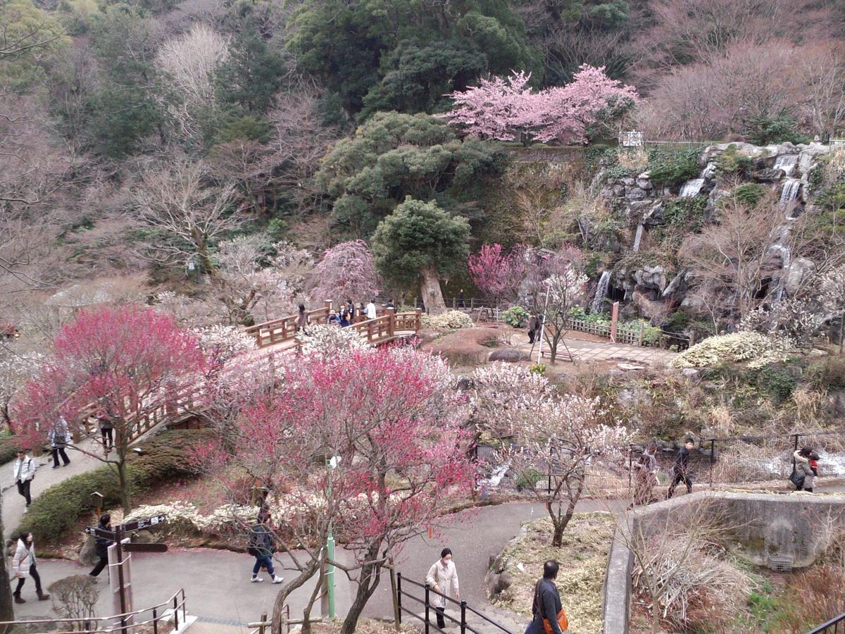ホテル Tkp レクトーレ熱海桃山 熱海市 エクステリア 写真