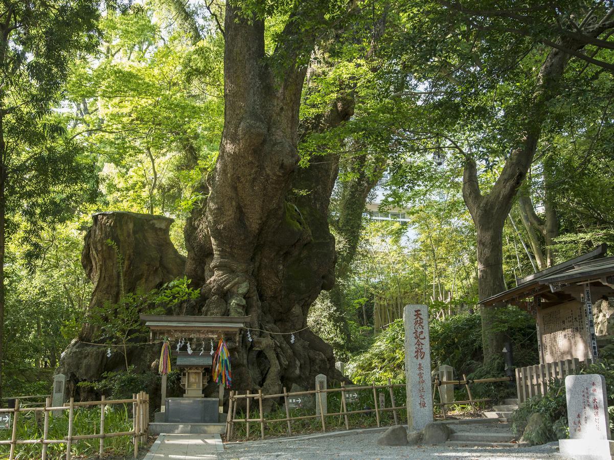 ホテル Tkp レクトーレ熱海桃山 熱海市 エクステリア 写真